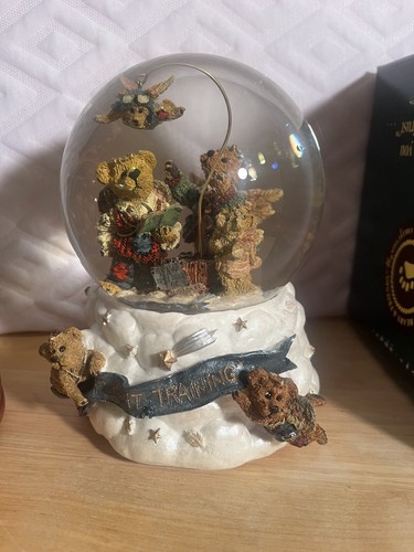 Boyds bears flight - boyds, training